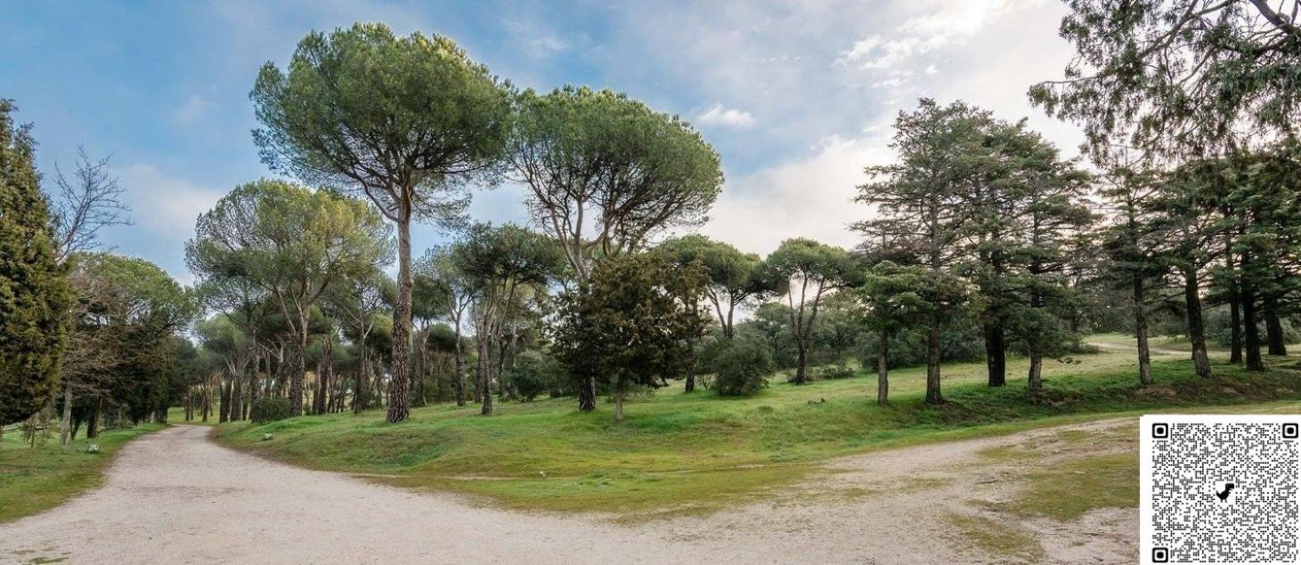 Apartamento Las Rozas Centro Con Parking Incluido Exterior foto